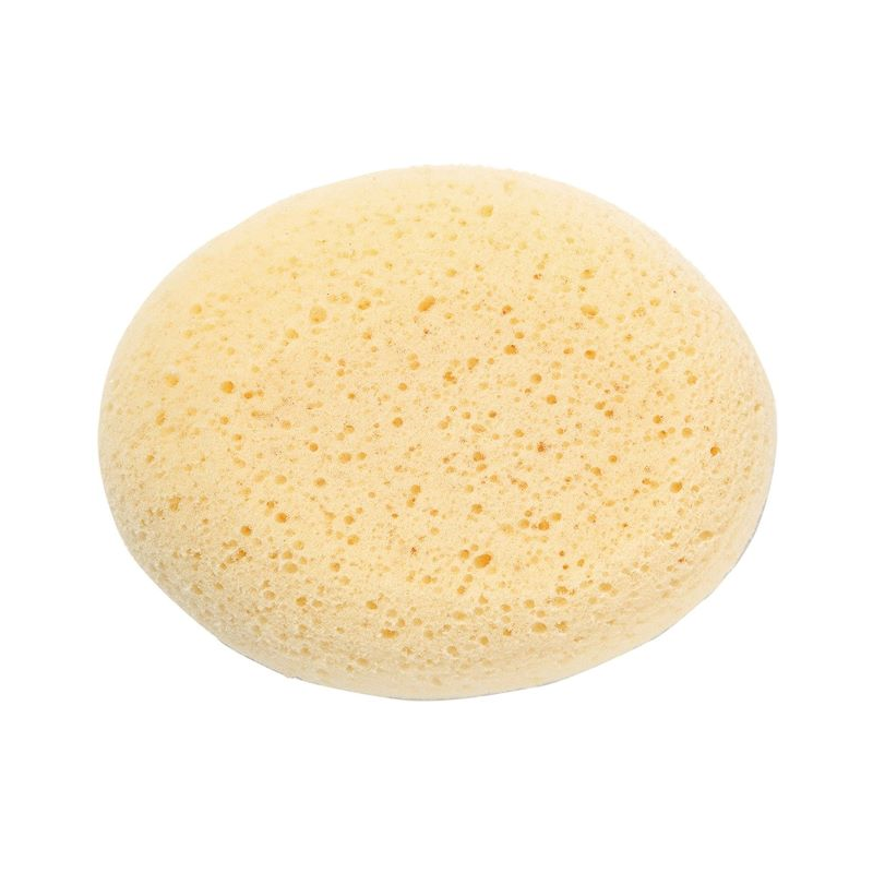 Saro Absorbent Sponge