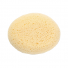 Saro Absorbent Sponge