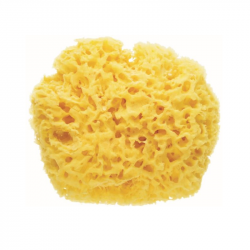 Saro Natural Sponge