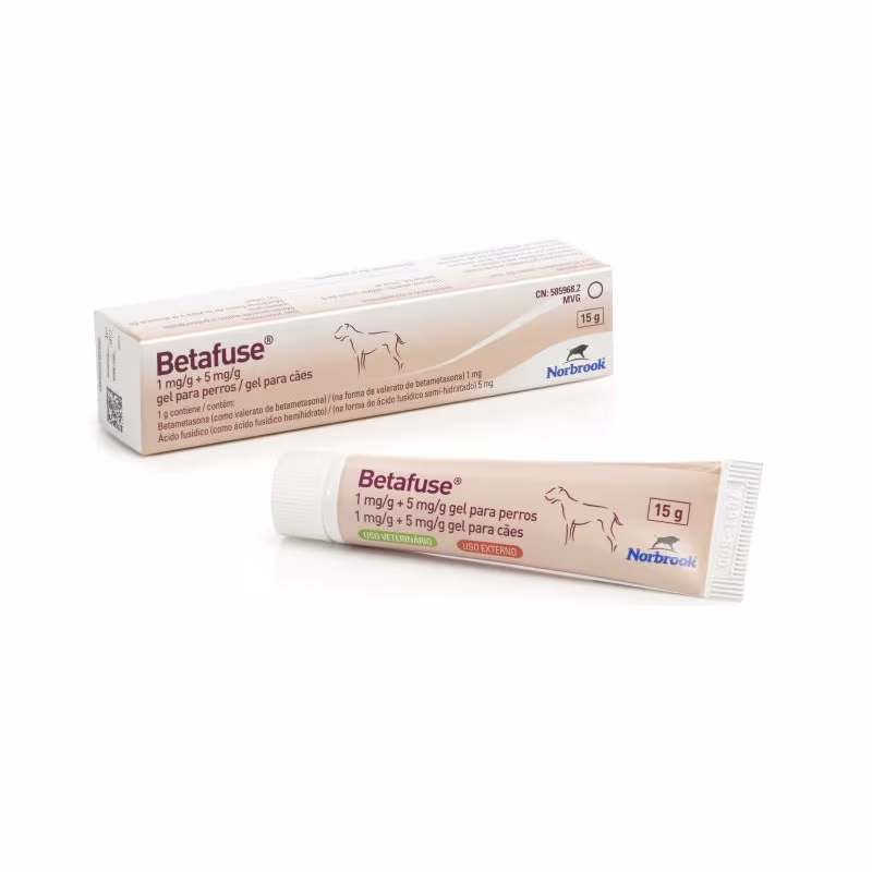 Betafuse gel 15g