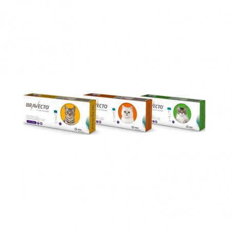 Bravecto Spot On Gato 250mg 2,8-6,5kg 1 pipeta