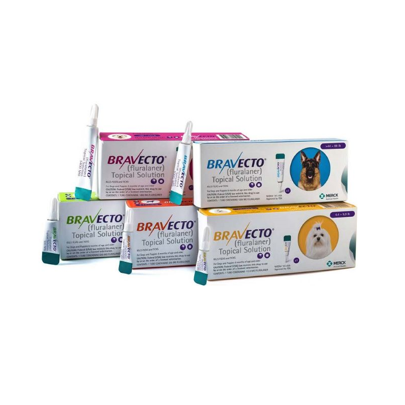 Bravecto Spot On Cão 1000mg 20-40kg 1pipeta
