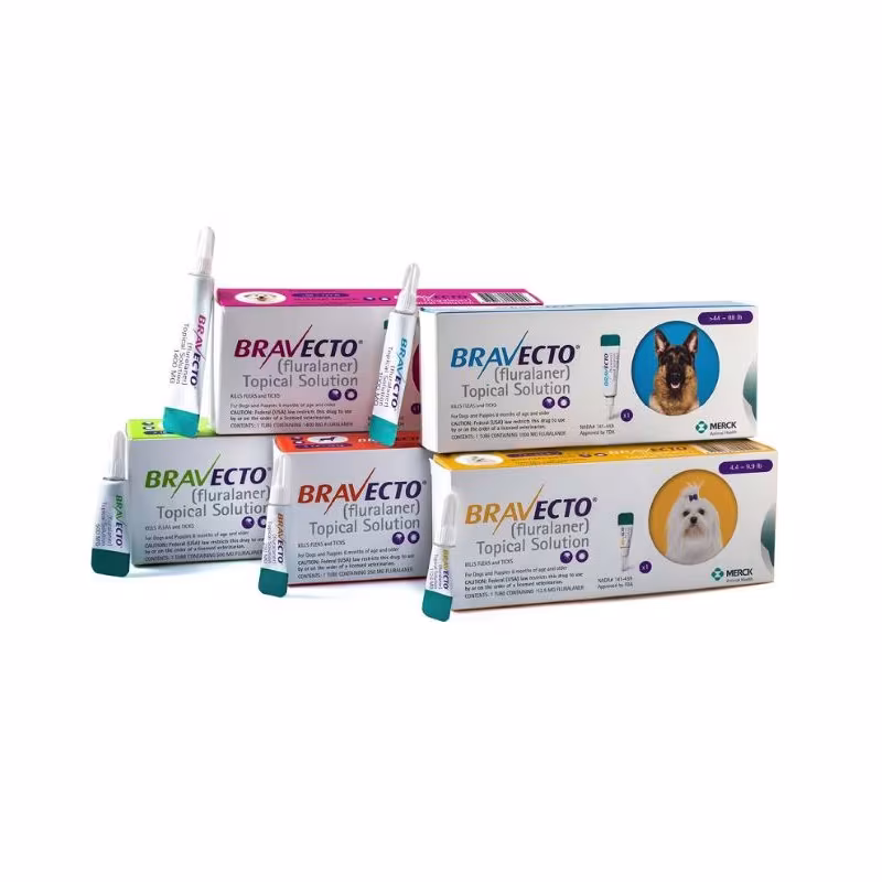 Bravecto Spot On Cão 250mg 4,5-10kg 1pipeta