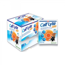 Calf Lyte Plus 24saquetas
