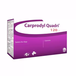 Carprodyl Quadri 120mg 120 comprimidos