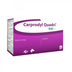Carprodyl Quadri 50mg 100 comprimidos