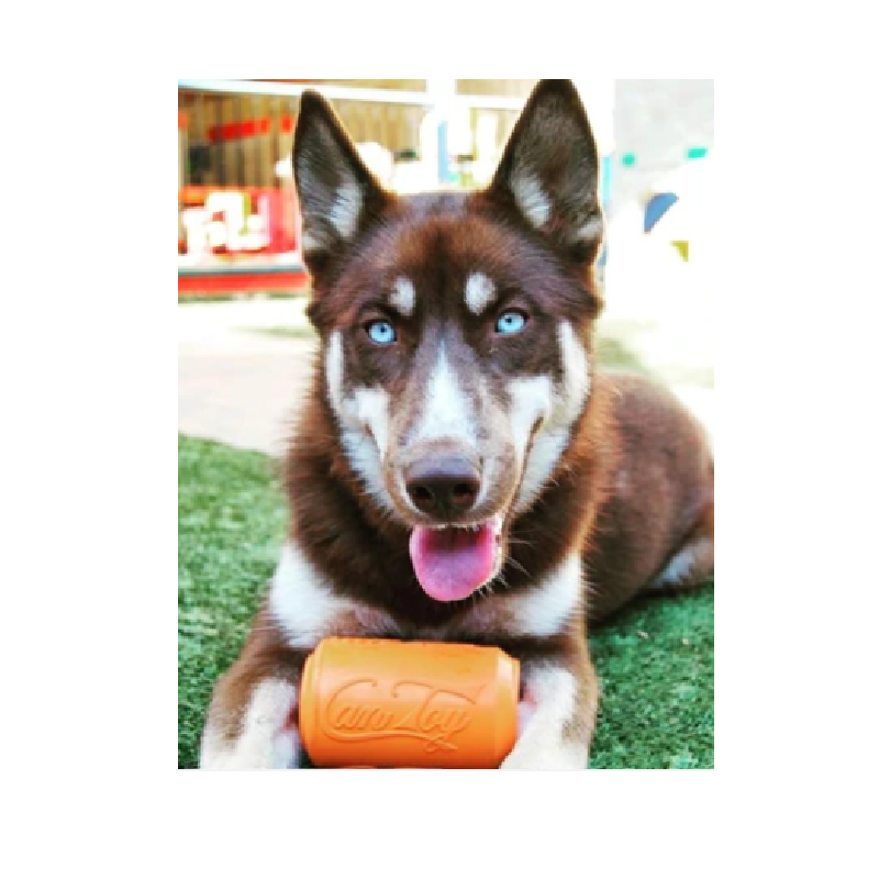 Sodapup Can Toy XL - Naranja Squeeze
