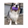Sodapup Originals Can Toy Large - Grape Crush