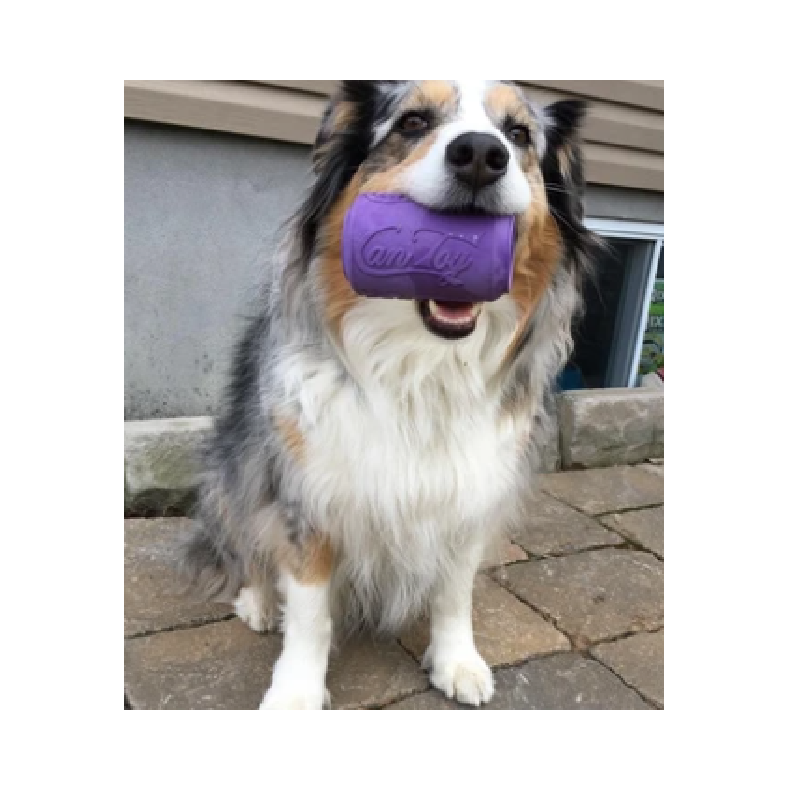 Sodapup Originals Can Toy Medium - Grape Crush