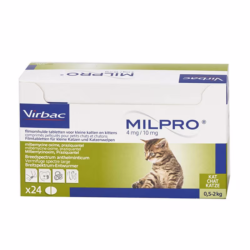Milpro Gatinhos 4 mg/10 mg 24comp