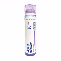 Boiron Ledum Palustre 30CH