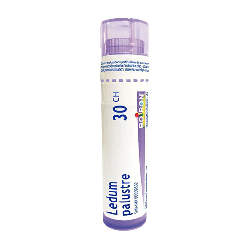 Boiron Ledum Palustre 30CH