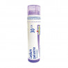 Boiron Ledum Palustre 30CH Boiron Ledum Palustre 30CH