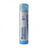 Magnesia carbónica Boiron 9CH Magnesia carbónica Boiron 9CH