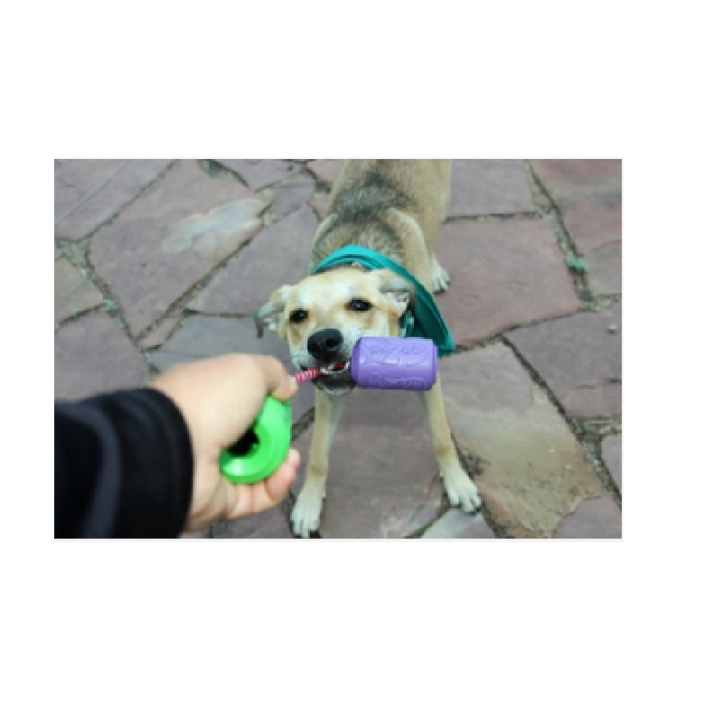 Sodapup Originals Two Fisted Drinker Tug Toy- Grape Crush/Lemon Lime