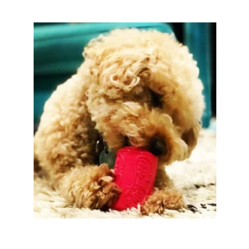 Sodapup Puppy Can Toy Medium Pink