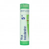 Boiron Rhus Toxicodendron 5CH Boiron Rhus Toxicodendron 5CH