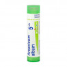 Boiron Arsenicum Album 5CH Boiron Arsenicum Album 5CH