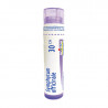 Boiron Symphytum Officinale 30CH Boiron Symphytum Officinale 30CH