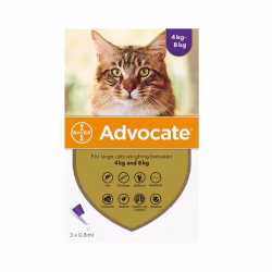 Advocate Cat 80 4-8kg 3 pipetas