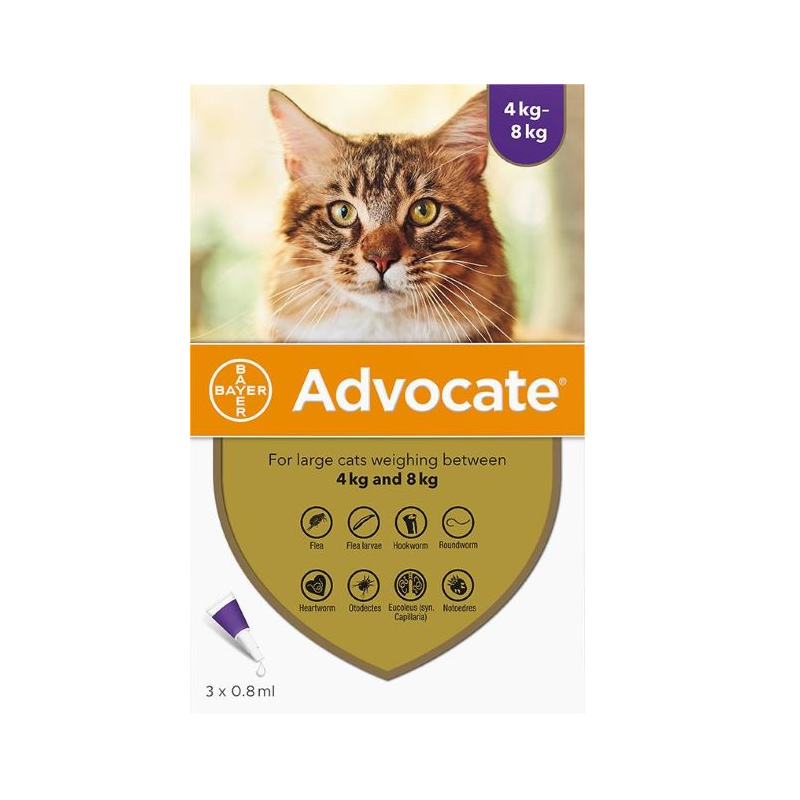 Advocate Chat 80 4-8kg 3 pipettes