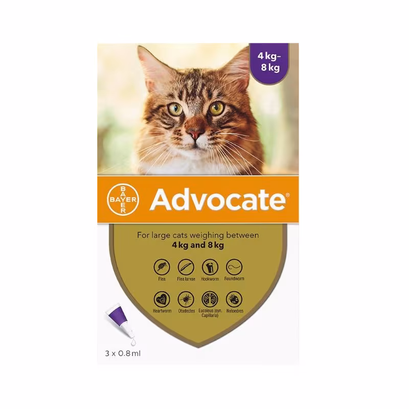 Advocate Gato 80  4-8kg 3 pipetas