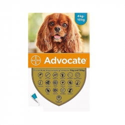 Advocate Cão 100 4-10kg 3 pipetas