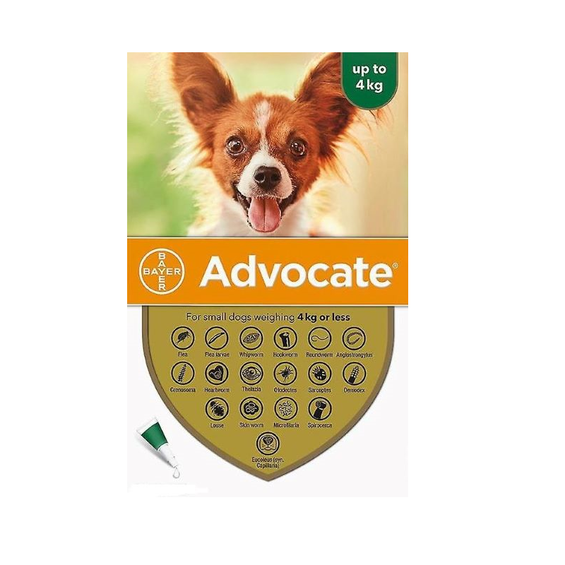 Advocate Dog 40 up to 4kg 3 pipetas