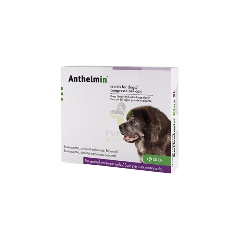 Anthelmin Cães Grandes 60comprimidos