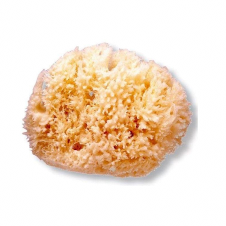 Suavinex Natural Sponge Medium 0m +