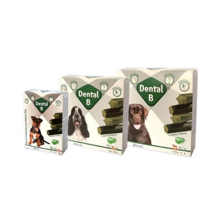 Dental-B Bars + 20kg 14 units Dental-B Bars + 20kg 14 units