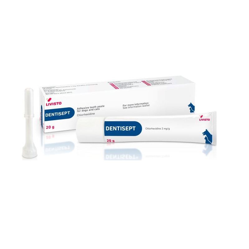 Dentisept Pasta Oral 20ml