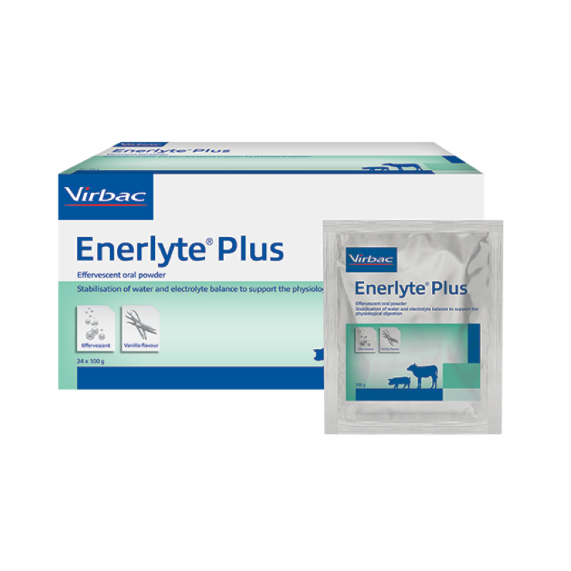 Enerlyte Plus 100g 24 sachets
