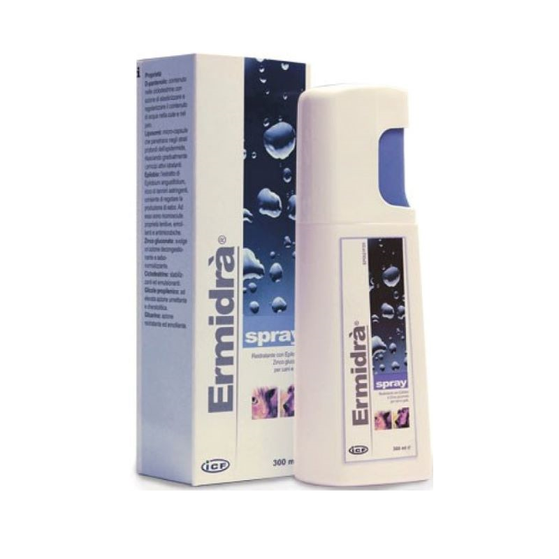 Vaporizador Ermidra 300ml