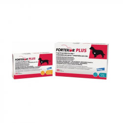 Fortekor Plus 1,25 mg / 2,5 mg 30 comprimés