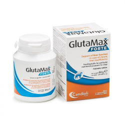 Glutamax Forte 120 tablets