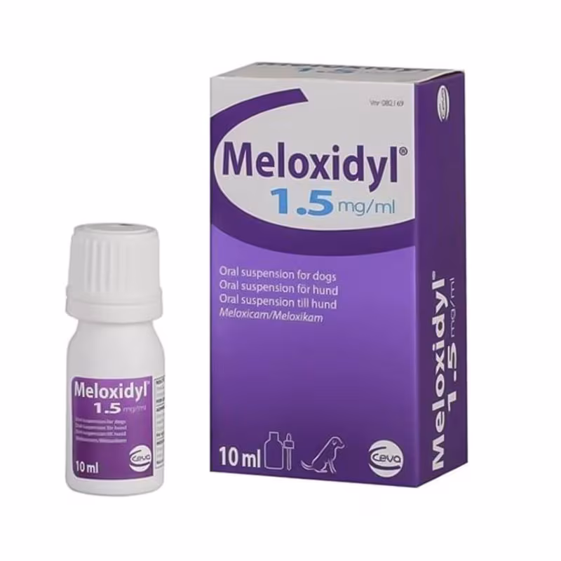 Suspension orale de méloxidyl 1,5 mg / ml 10 ml
