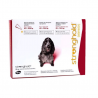 Stronghold 120mg (10.1-20kg) 3 pipettes