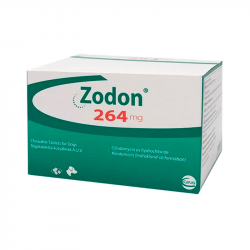 Zodon 264 mg 120 pastillas