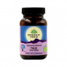 Tulsi Saint-Basilic des Indes Bio 90 Gélules Tulsi Saint-Basilic des Indes Bio 90 Gélules