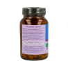 Organic India Brahmi-Gotu Kola 90 Cápsulas Organic India Brahmi-Gotu Kola 90 Cápsulas