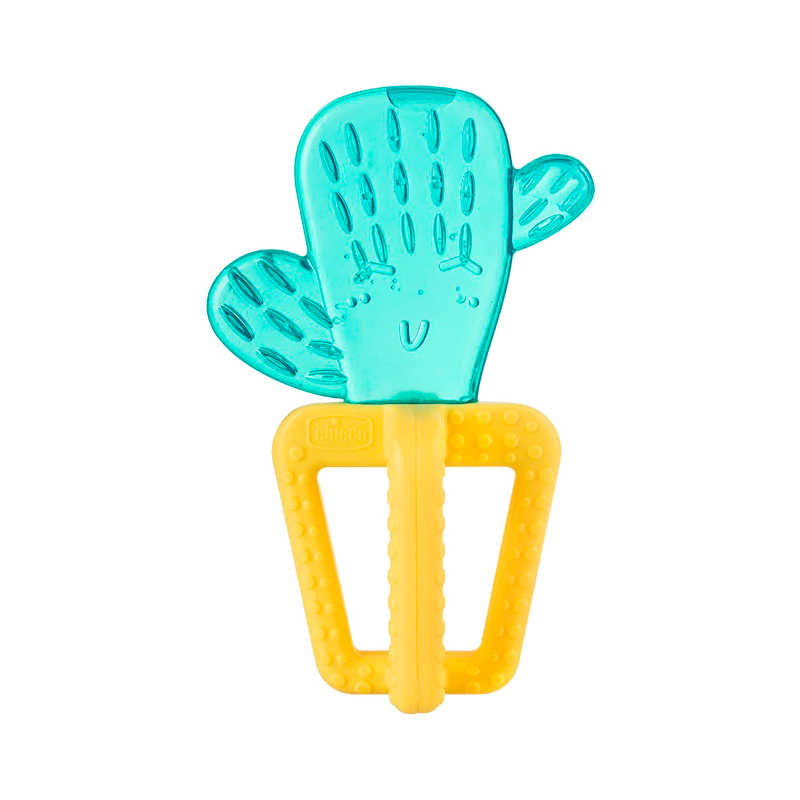 Chicco Cactus Biter Rafraîchissant 4m+