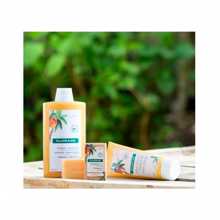Klorane Champú Mango Cabello Seco 400ml Klorane Champú Mango Cabello Seco 400ml