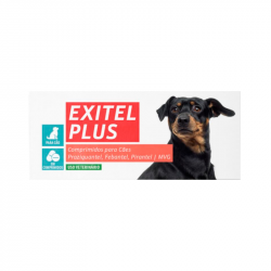 Patta Exitel Plus Cão