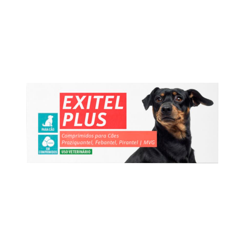 Chien Patta Exitel Plus