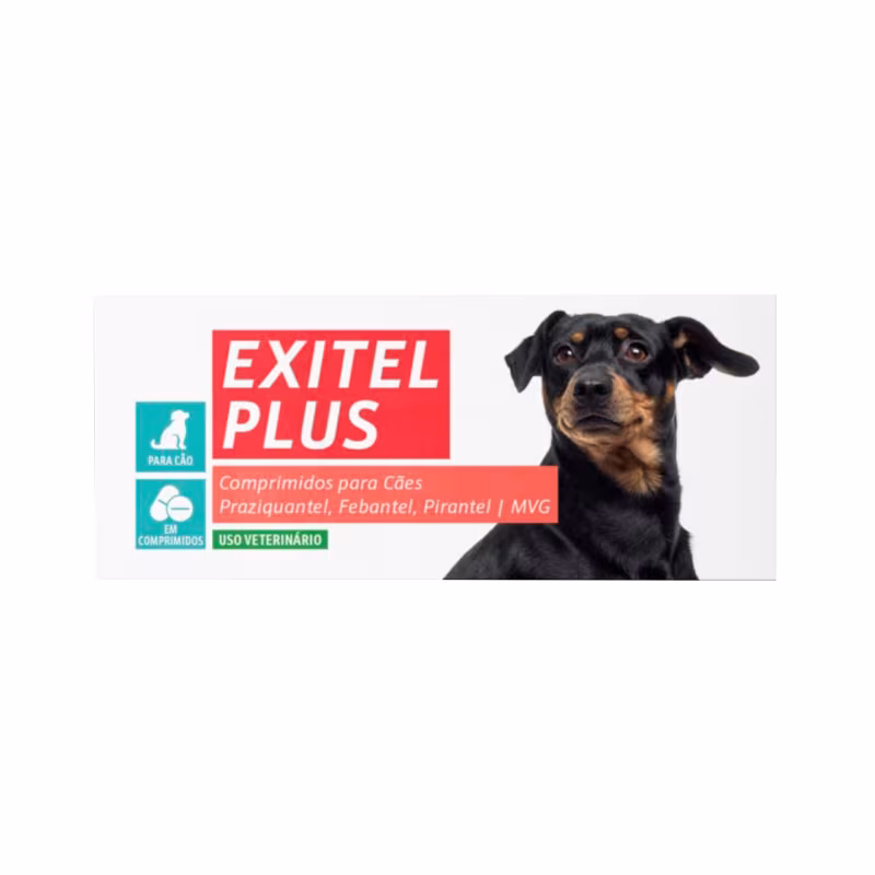 Perro Patta Exitel Plus