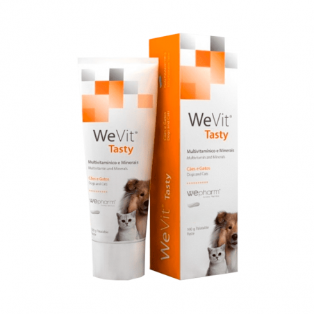 WeVit Tasty Pâtes 100g