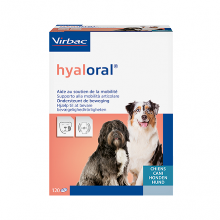 Hyaloral 120 comprimidos