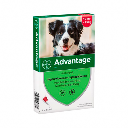 Advantage 250 Dogs 10-25Kg 4 pipetas x 2,5ml