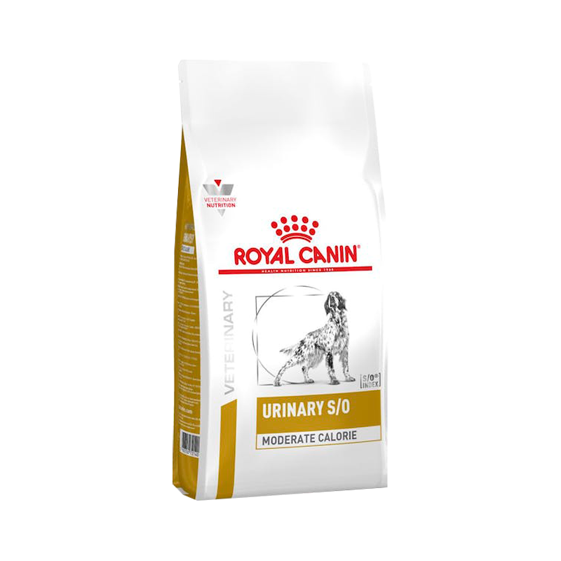 royal canin struvite dog